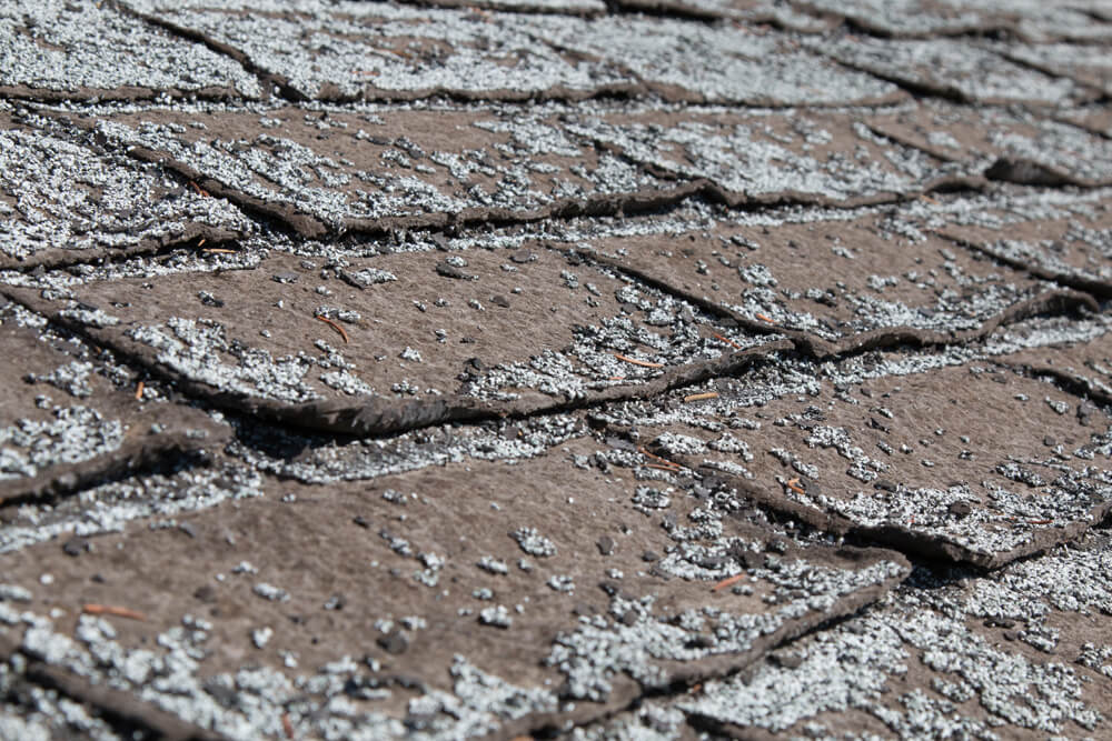 roof shingles showing excessive granule loss