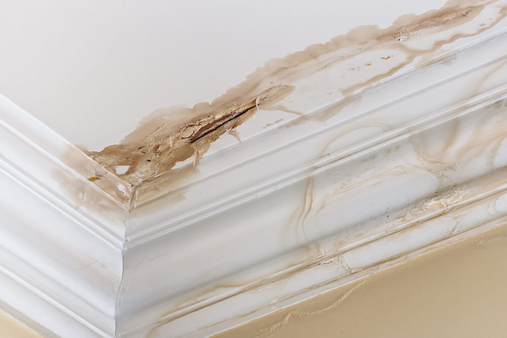 Leak in a ceiling due to a leaking roof