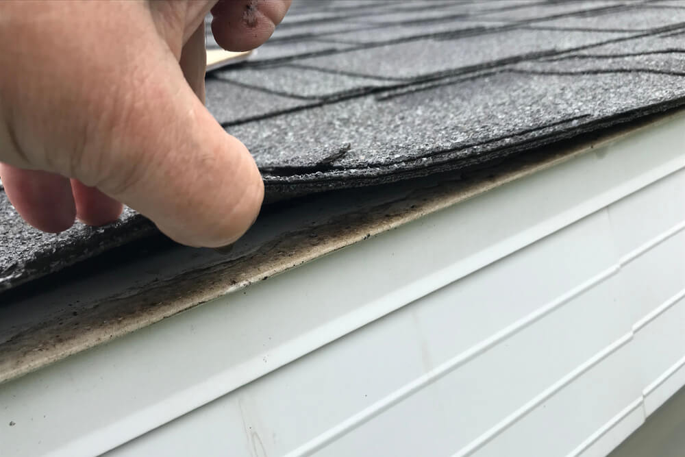 Roofing inspector lifting a damaged shingle